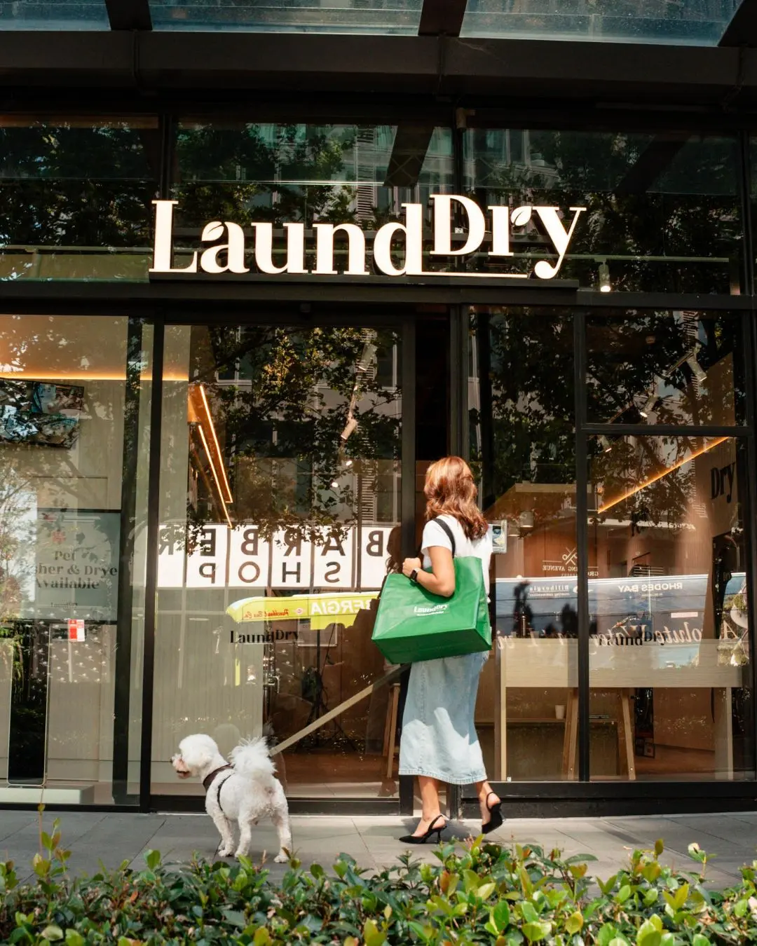 Walking into the LaundDry laundromat